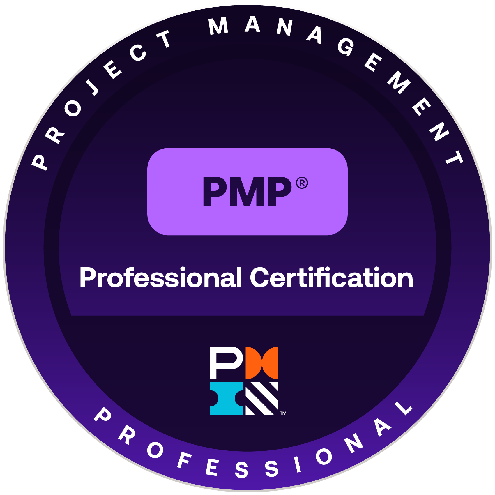PMP Professional Certification